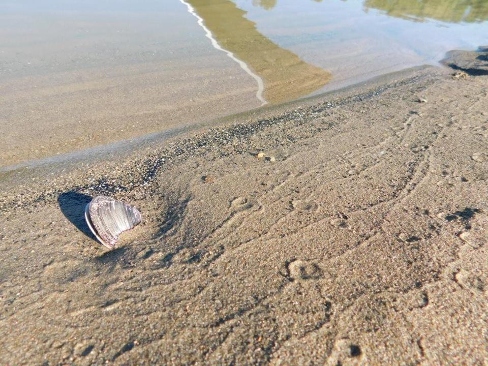 مبيت وإفطار Jasenovac Kod Ribica المظهر الخارجي الصورة