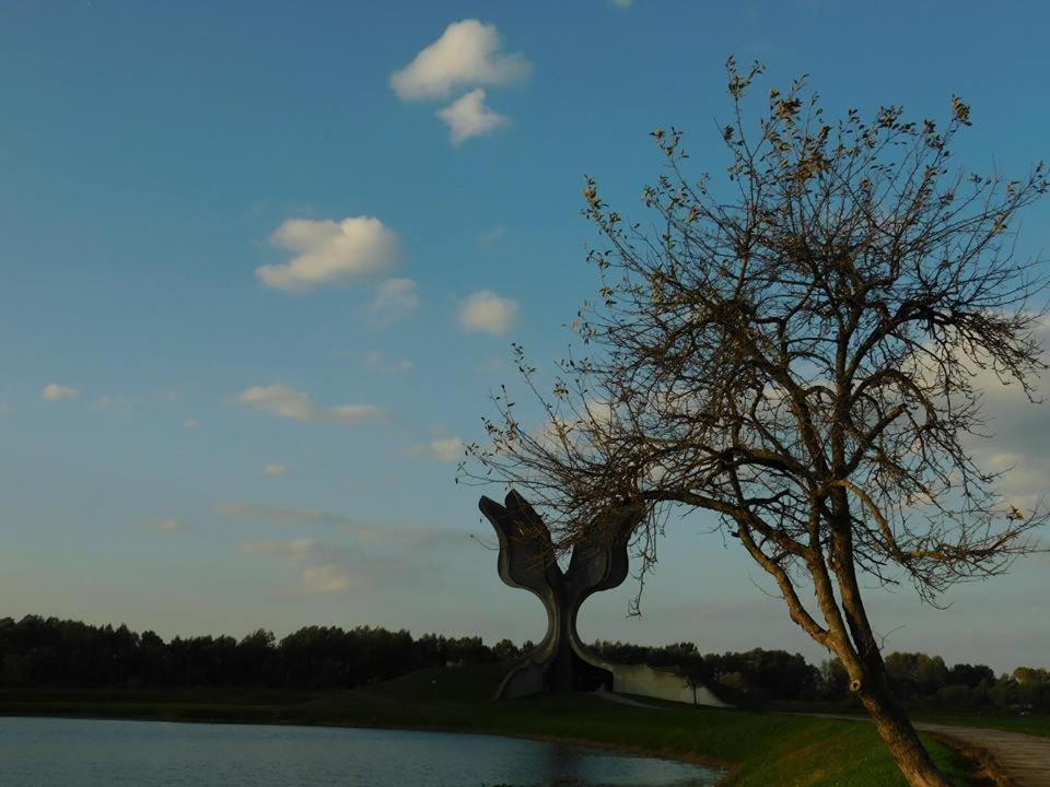 مبيت وإفطار Jasenovac Kod Ribica المظهر الخارجي الصورة